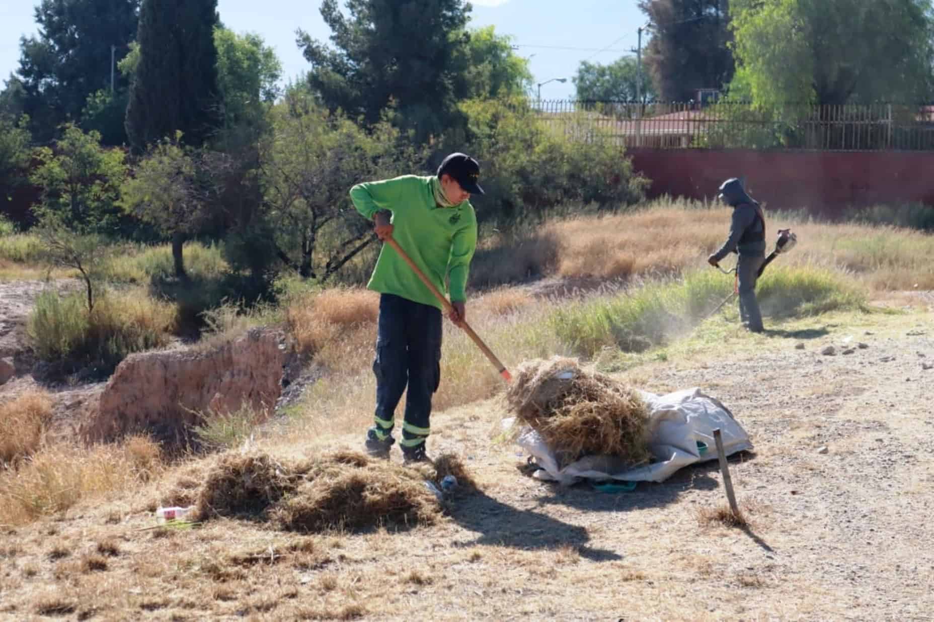 Acciones de limpieza en plazas públicas de Saltillo promueven convivencia