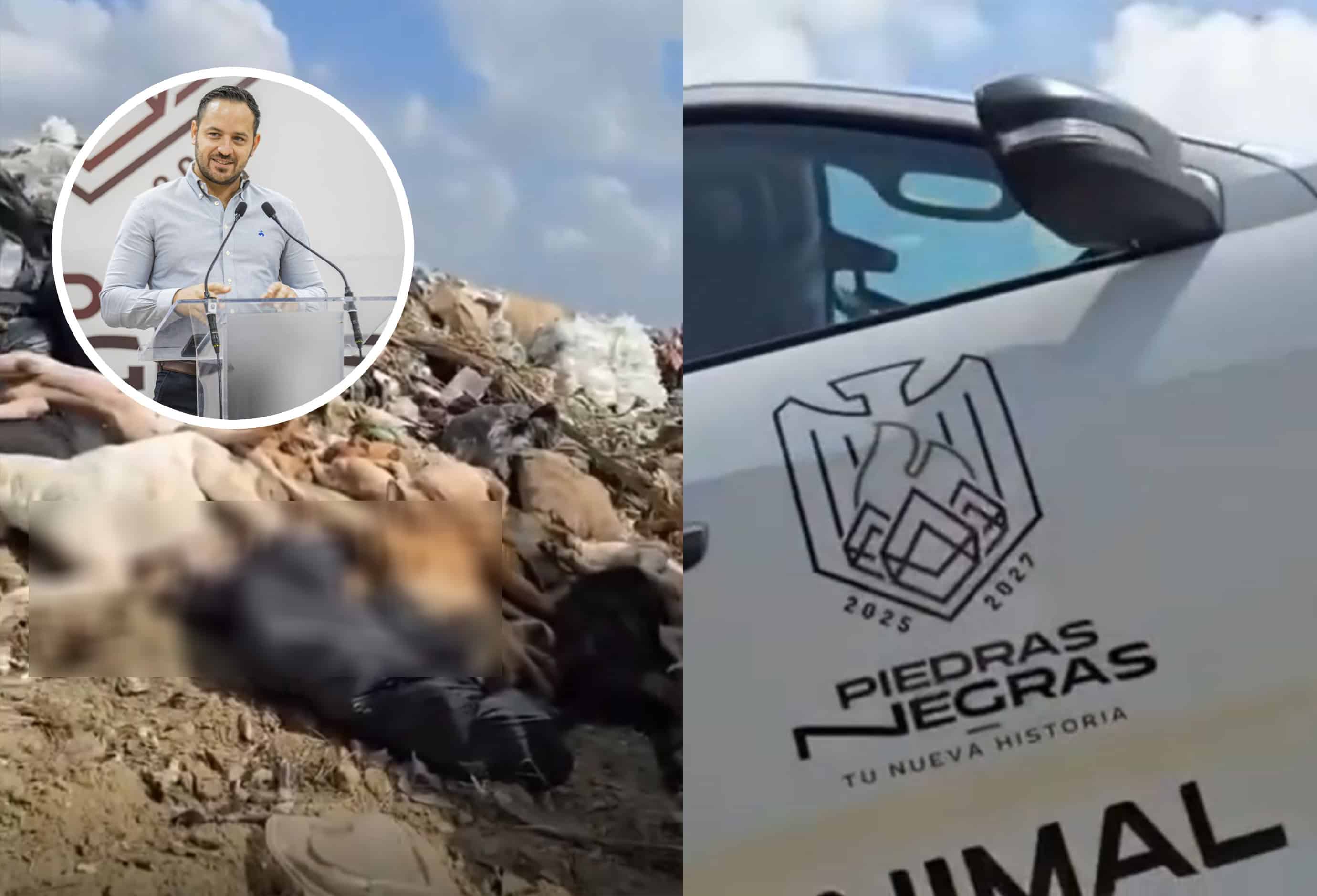 Crueldad e impunidad: Caso de perros arrojados al basurero sigue SIN RESPONSABLES