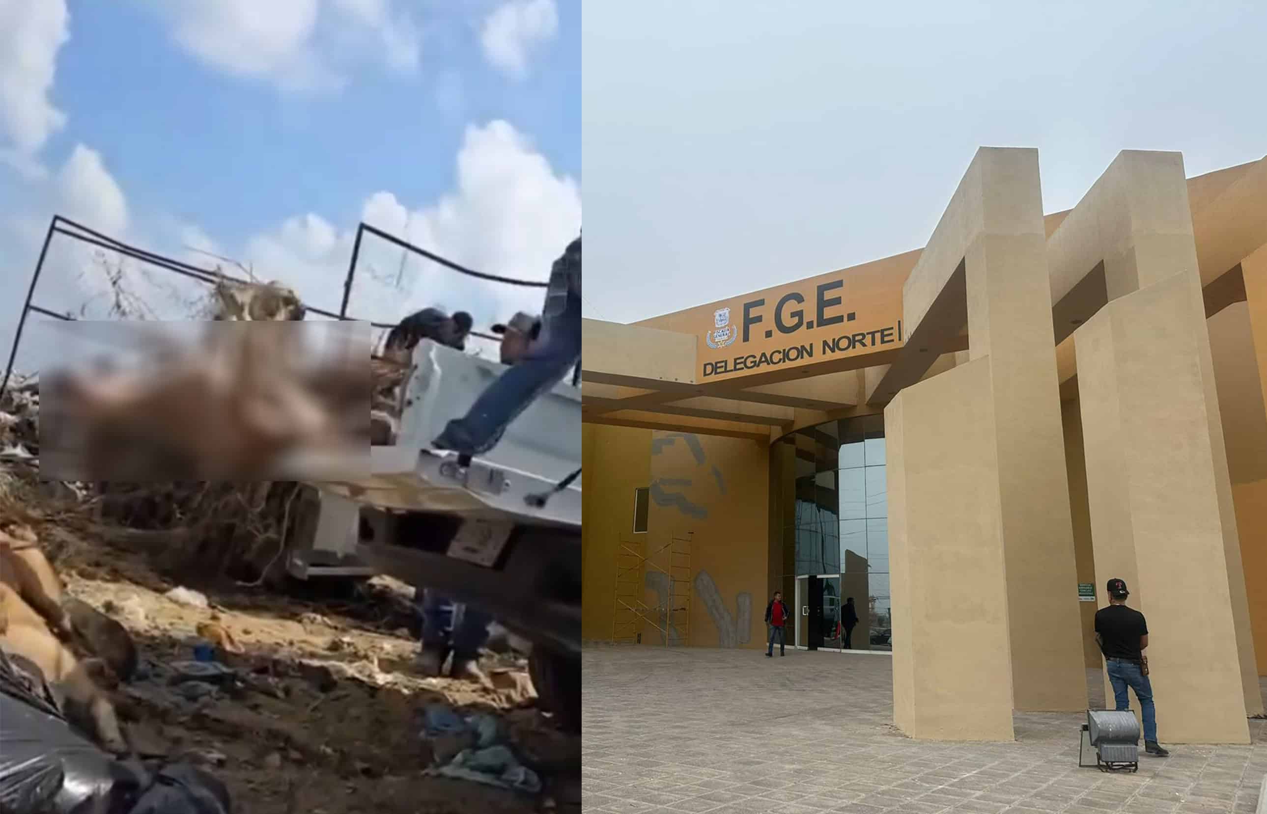 Suman tres denuncias por presunto maltrato animal en el relleno sanitario de Piedras Negras