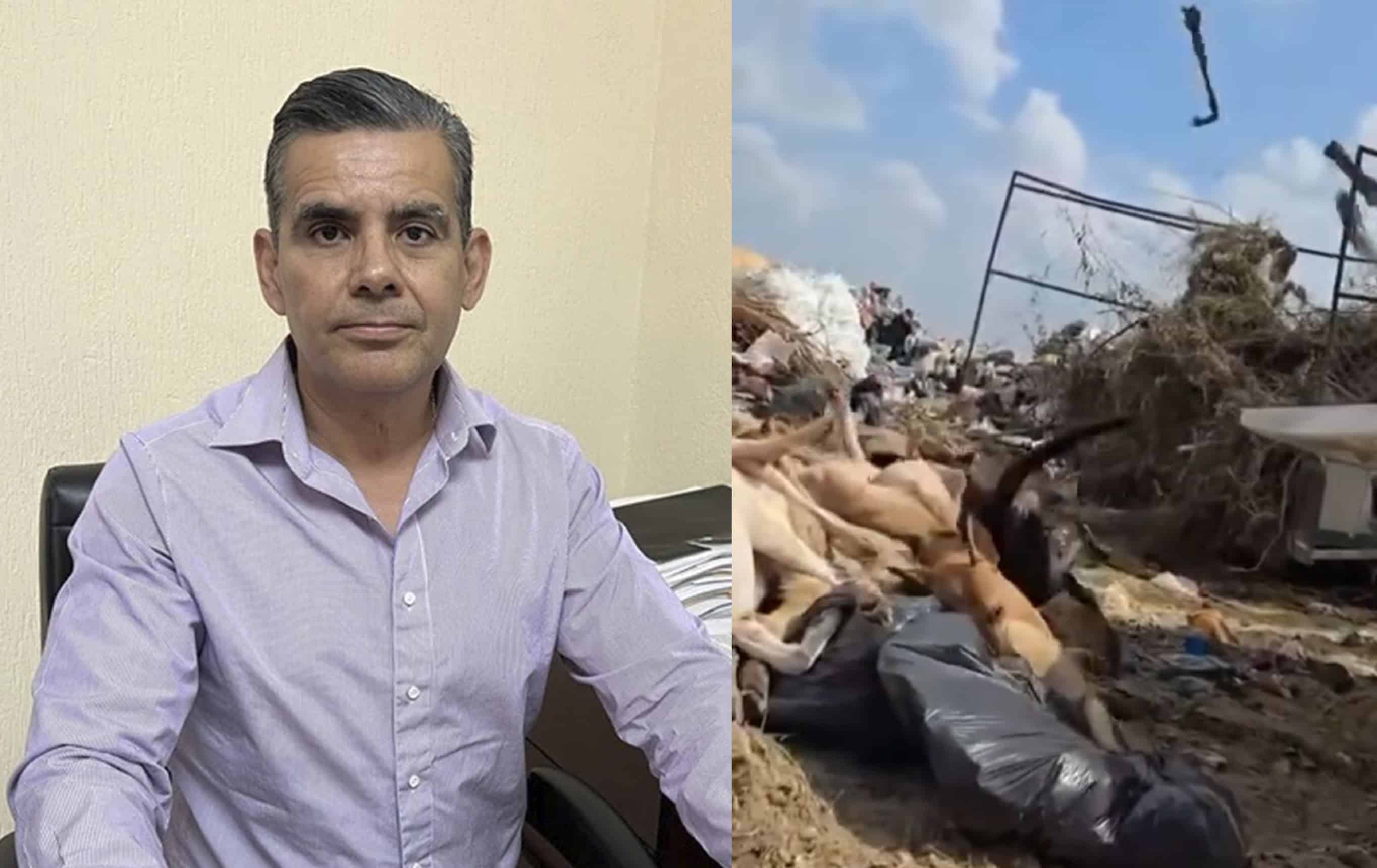 Diputado del Partido Verde presenta denuncia formal por caso de maltrato animal en Piedras Negras