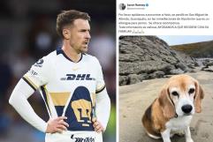 Aaron Ramsey pierde a su perro en San Miguel de Allende y ofrece recompensa de $185 mil pesos