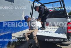 Hombre de 44 años detenido tras lanzar piedras en tienda de conveniencia