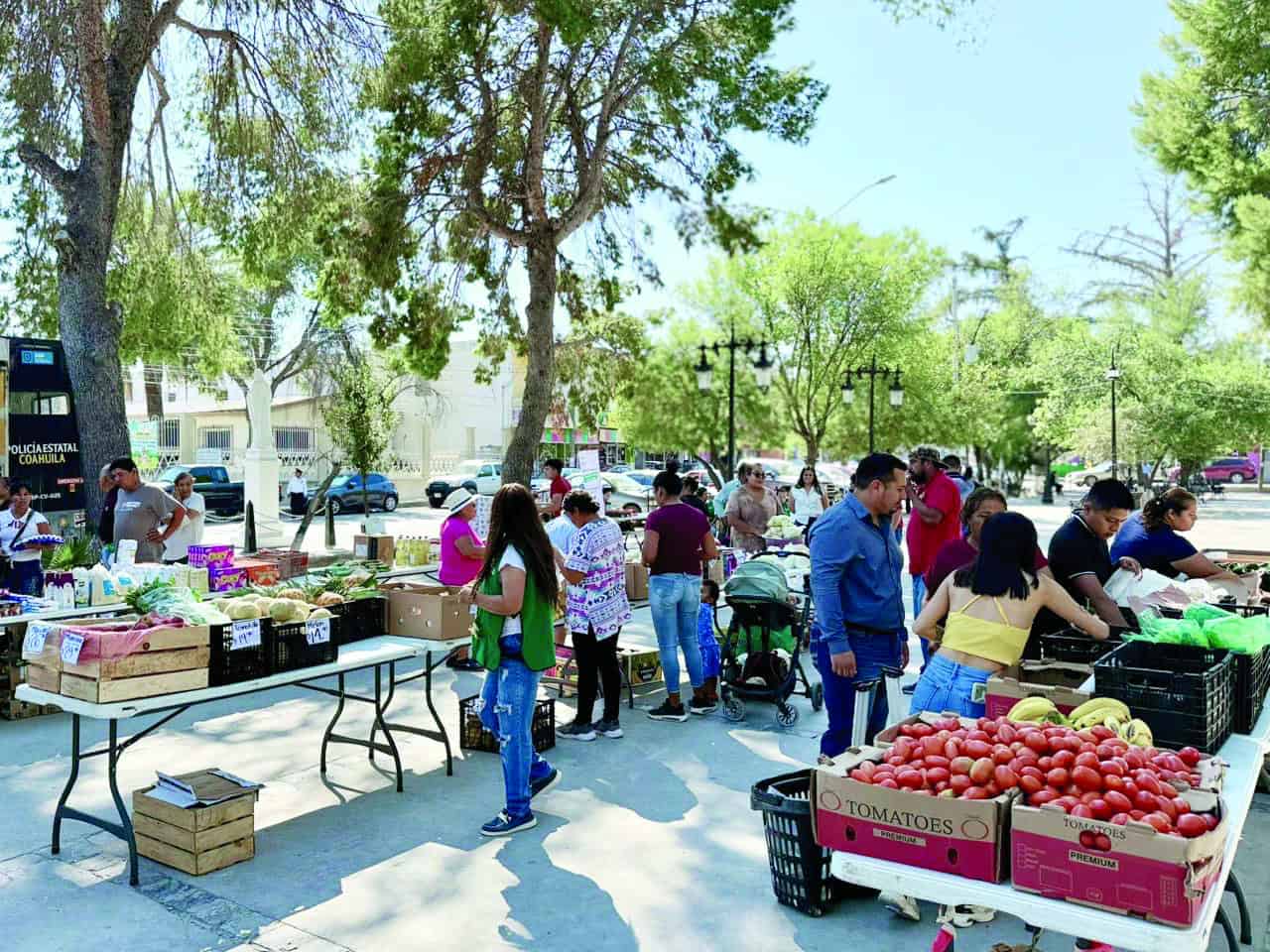 Alcalde Javier Flores Rodríguez impulsa economía familiar con Mercadito MEJORA Coahuila