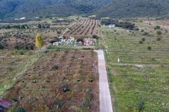 Ciudadanos de Arteaga, Coahuila Demandan Obras Prioritarias
