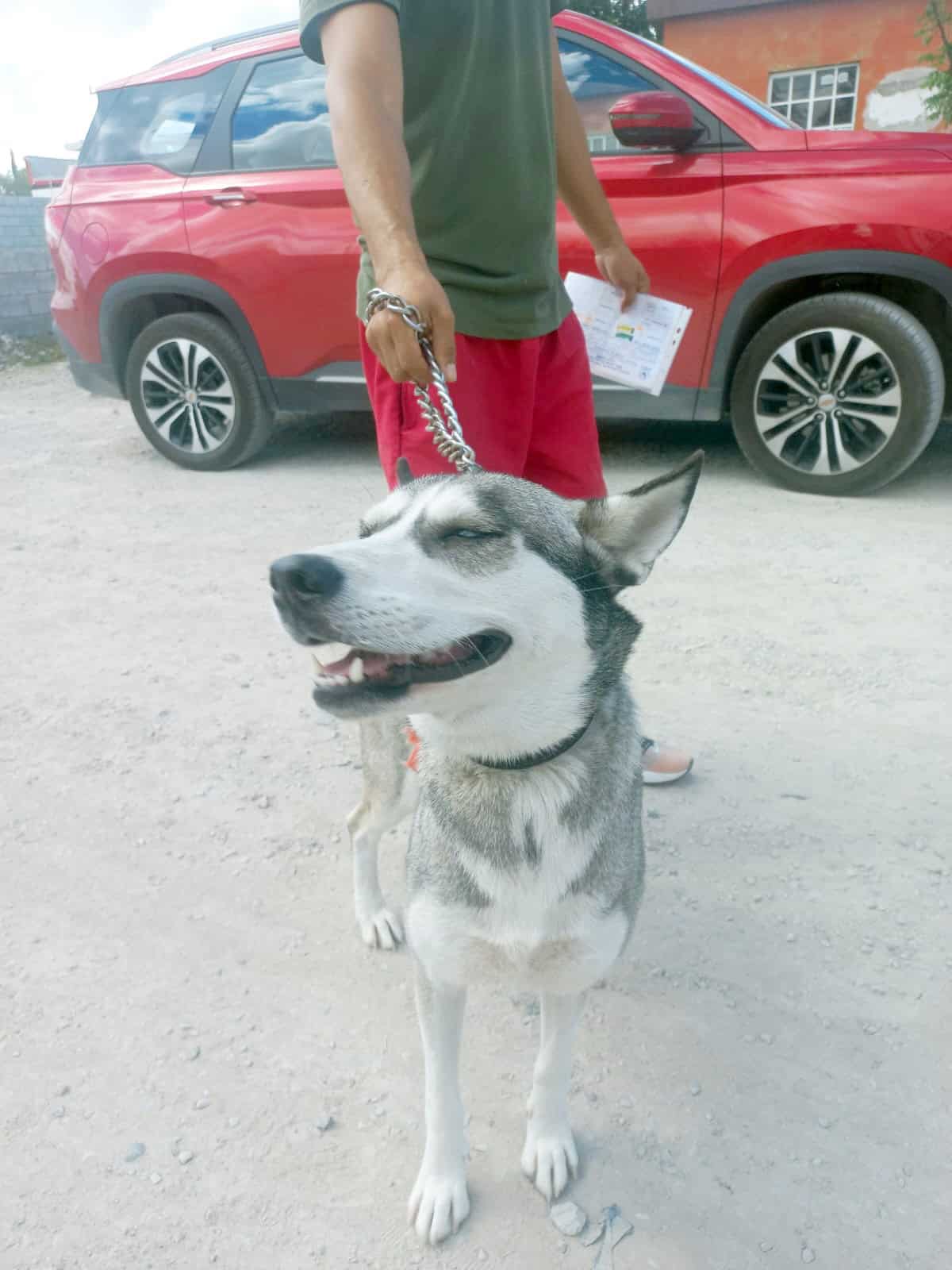 Protección Animal llega a Frontera, Coahuila con servicios gratuitos y de bajo costo