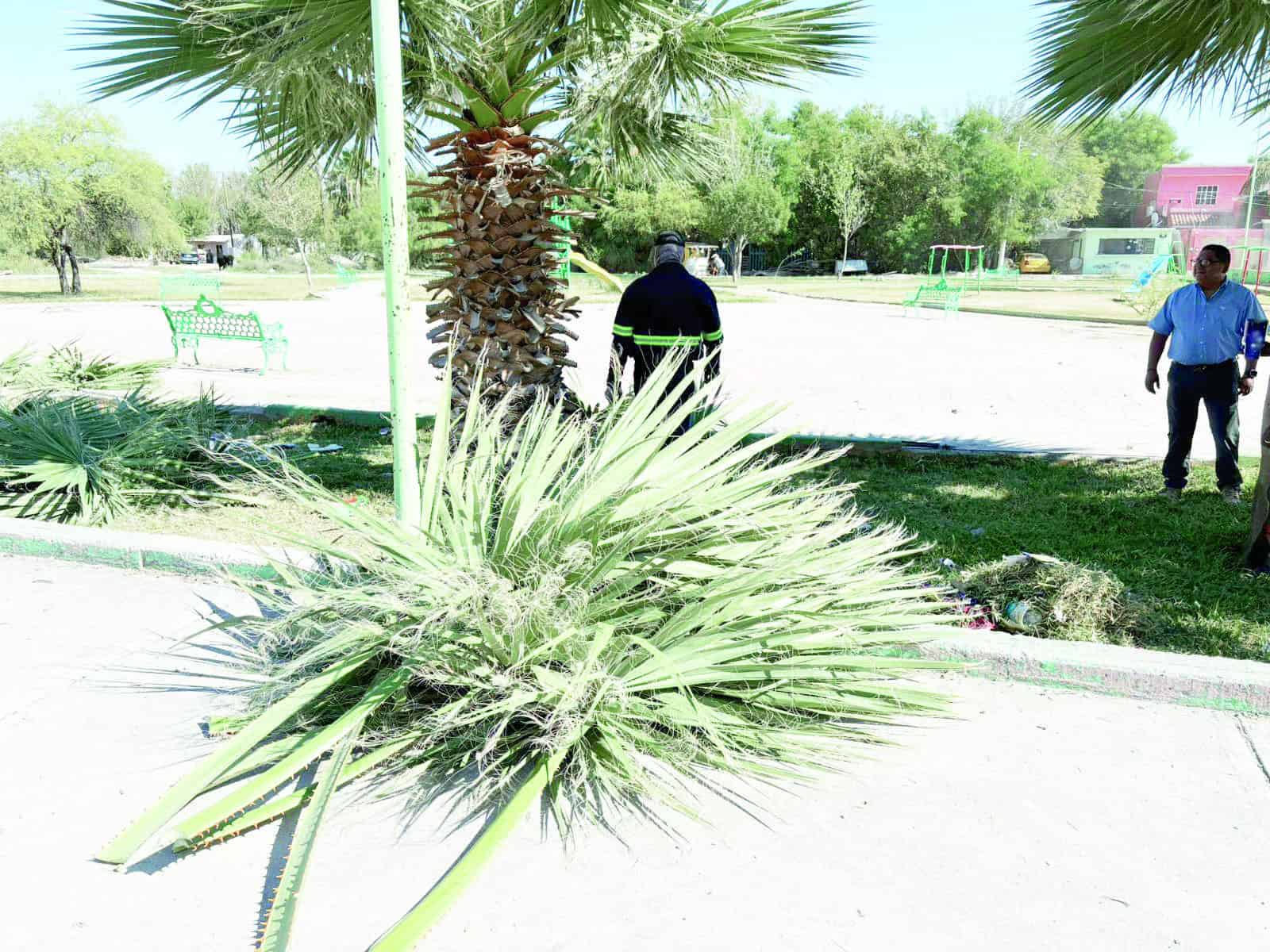 Alcaldesa de Frontera impulsa mantenimiento en parques y jardines