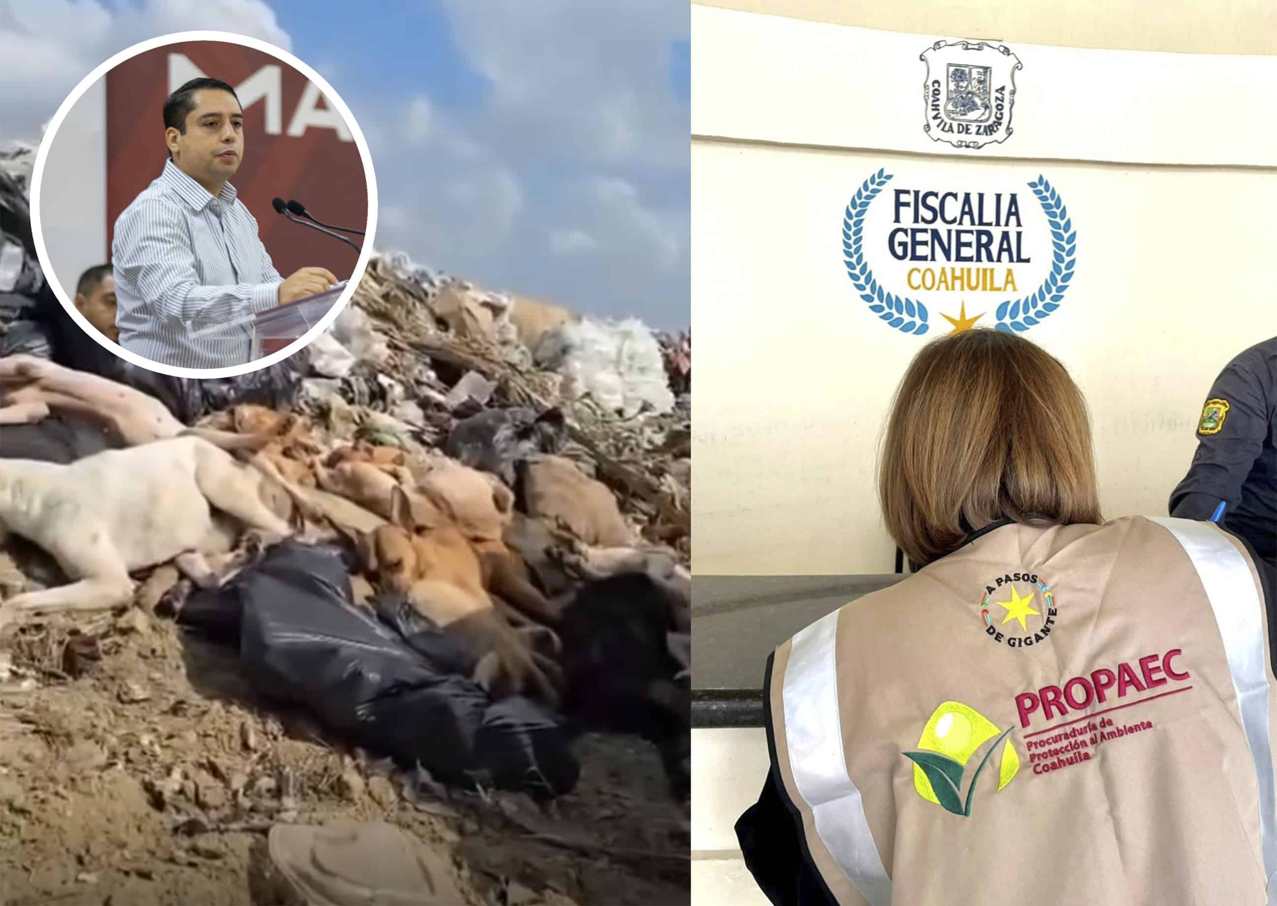 Entregan informe preliminar a PROPAEC por caso del tiradero de perros en Piedras Negras