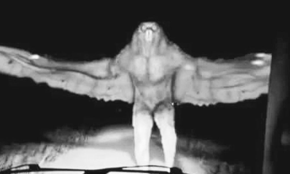 El Hombre Pájaro protagoniza película de terror