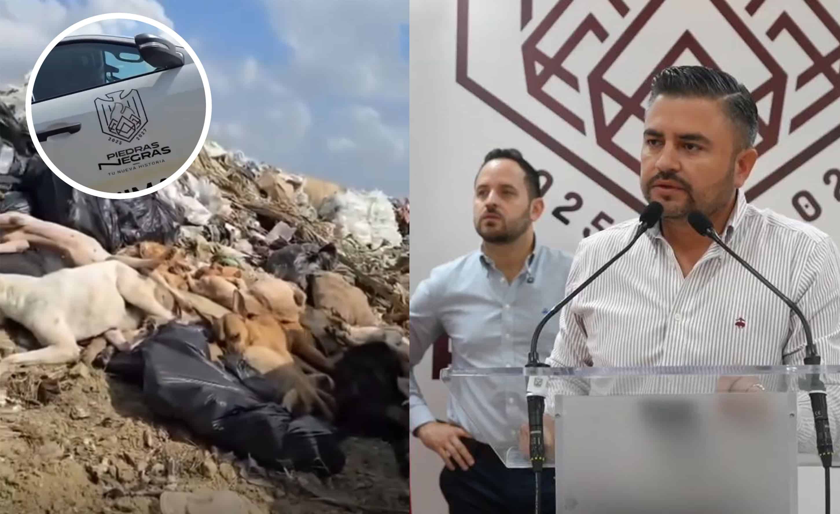 Citarán a empleados de Bienestar Animal por arrojar perros muertos en relleno sanitario