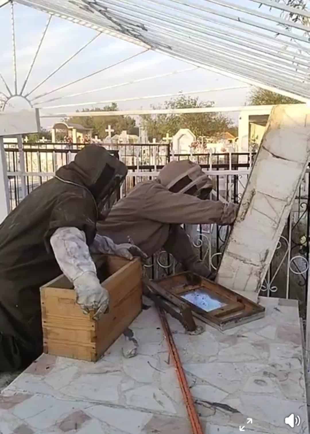 Protección Civil y Bomberos garantizan seguridad en panteones ante riesgo de abejas