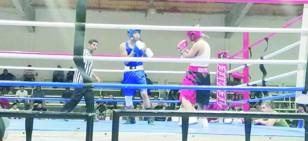 Jóvenes talentos del boxeo se unen en evento benéfico en Múzquiz