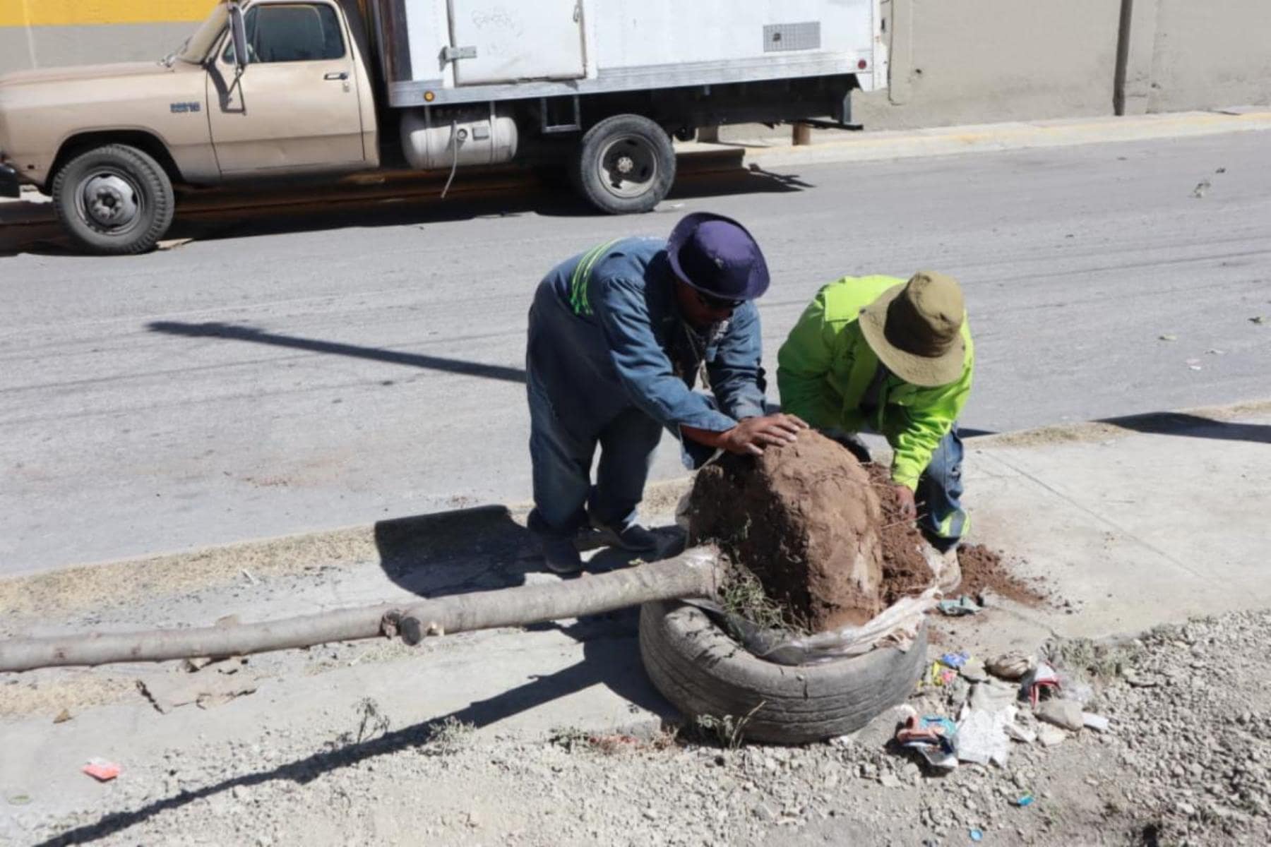 Reforestación en Saltillo: Un impulso a la biodiversidad urbana