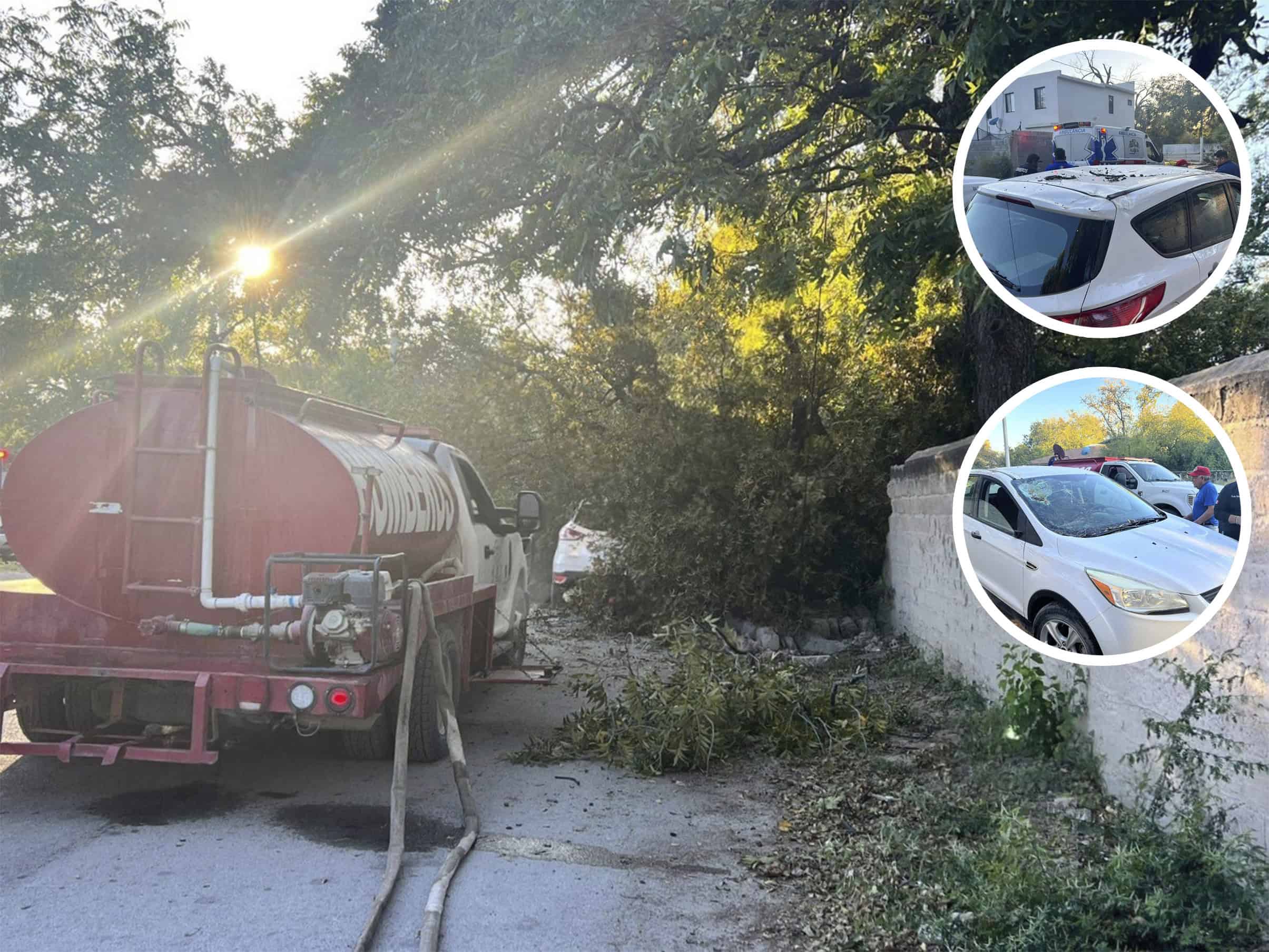 Nogal cae sobre camioneta en Nava; pareja sufre ataque de abejas tras el accidente