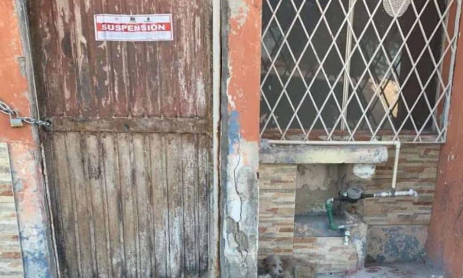 Clausuran vivienda en Praderas Casas Nuevas por maltrato animal y presunto incendio provocado