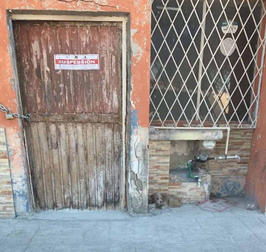 Clausuran vivienda en Praderas Casas Nuevas por maltrato animal y presunto incendio provocado