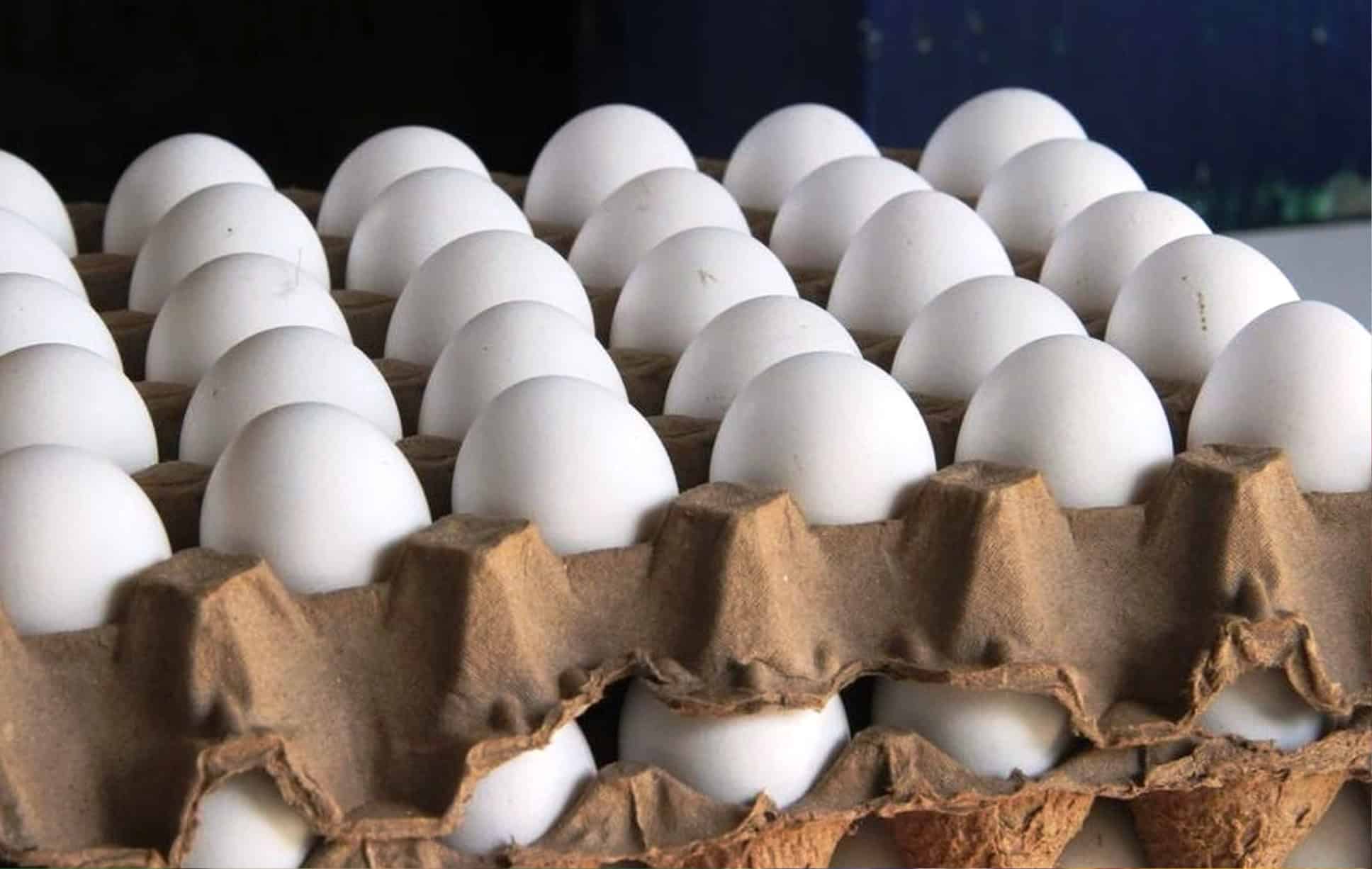 Más de 115 familias de Saltillo beneficiadas con el programa alimentario Huevo y Leche