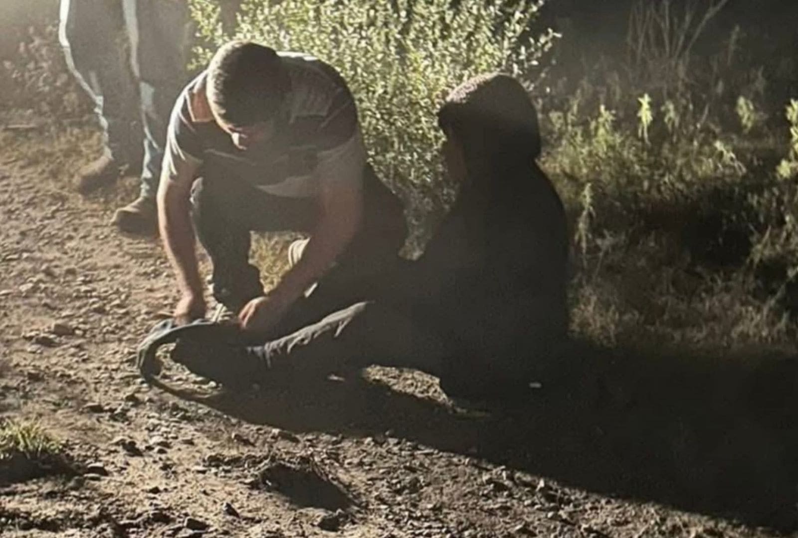 María Elizabeth Guerra Vázquez rescatada con vida en Múzquiz Coahuila