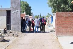 Atacan abejas en el Panteón Guadalupe