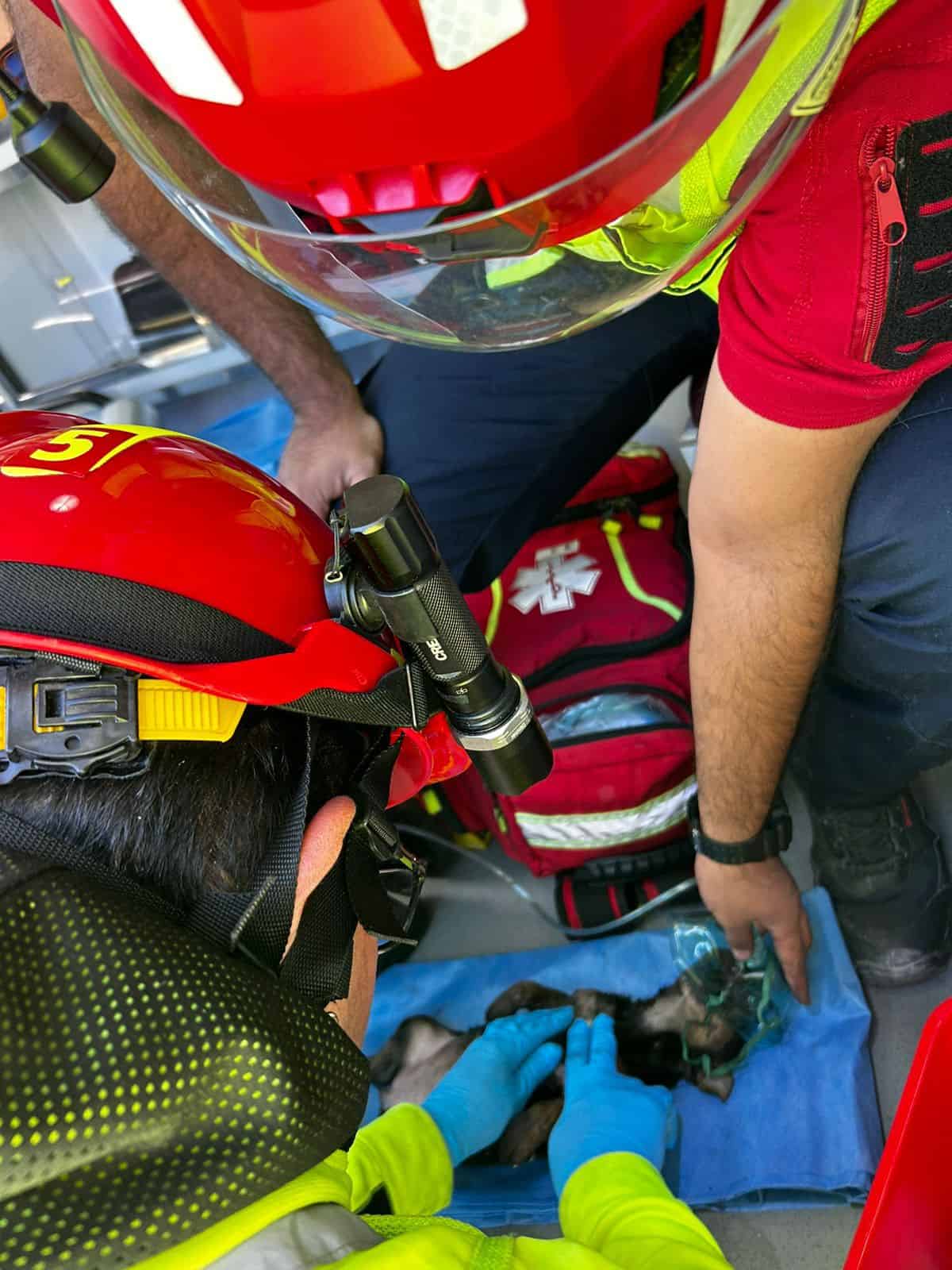 Veladoras en altar de Día de Muertos provocan incendio en Ramos Arizpe