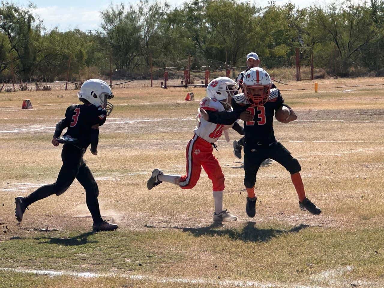 Resultados de los partidos del Club Zorros en categorías U-8, U-10 y U-12