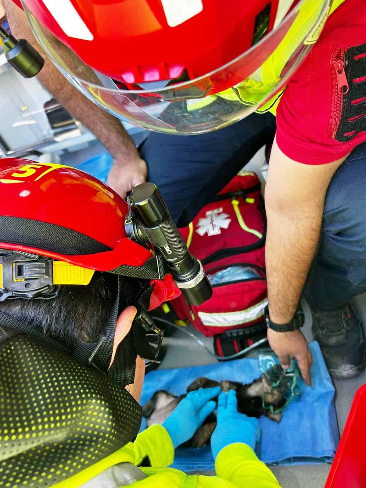 Incendio en vivienda de Ramos Arizpe moviliza a Protección Civil y Bomberos