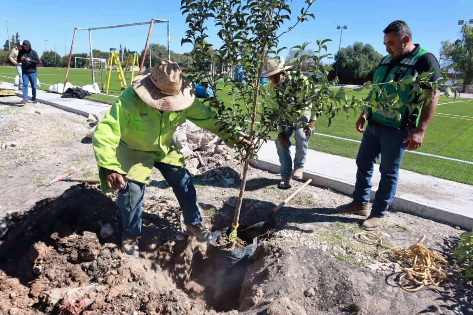 Reforestación y limpieza en plazas públicas de Saltillo para mejorar convivencia familiar