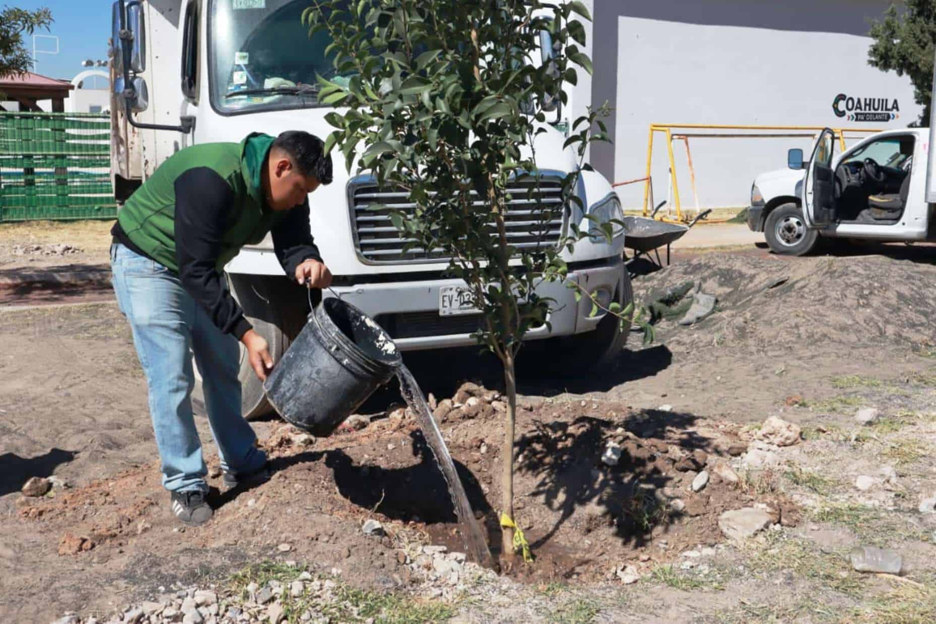 Reforestación y limpieza en plazas públicas de Saltillo para mejorar convivencia familiar