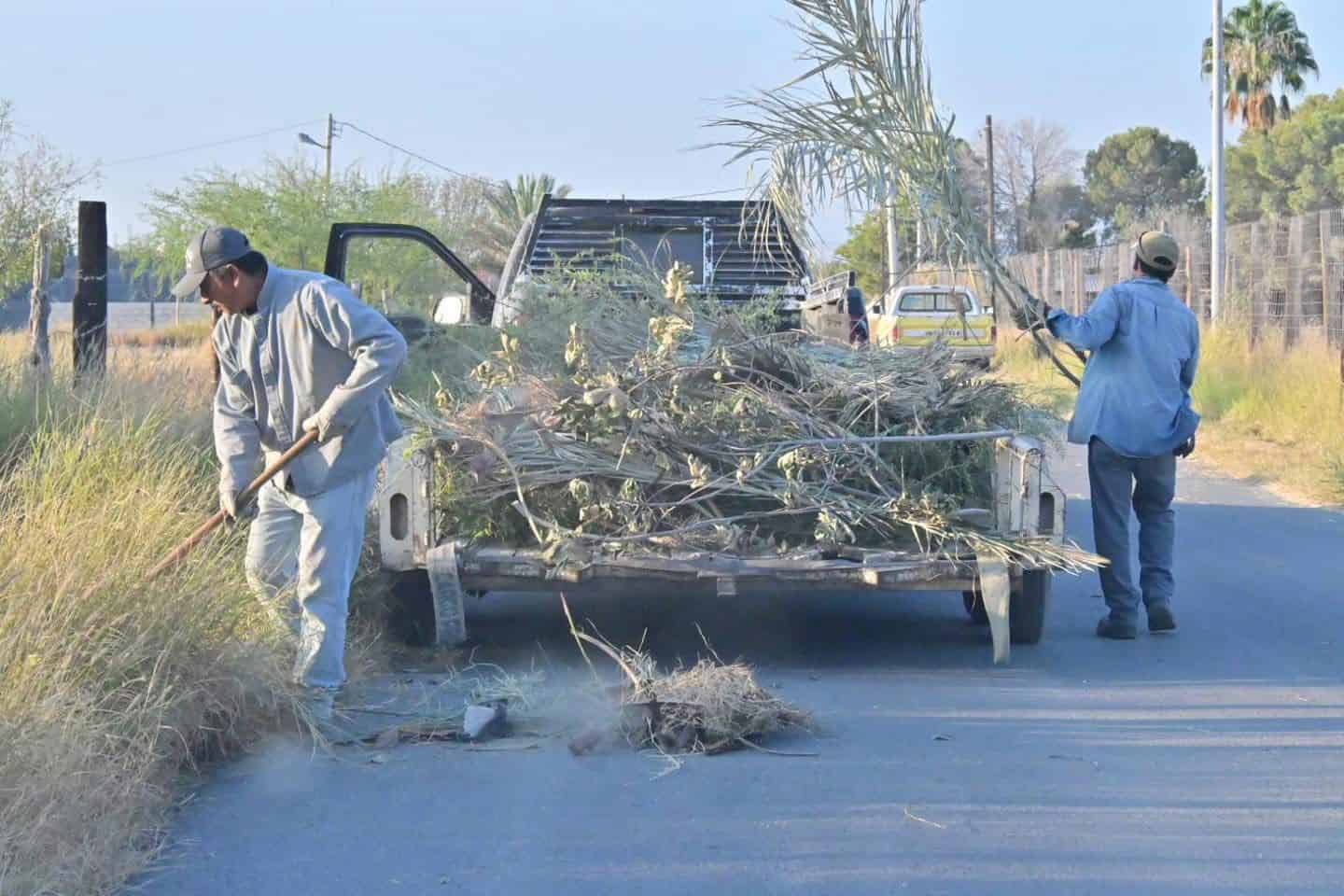Aumentan casos de dengue en San Buenaventura, Coahuila