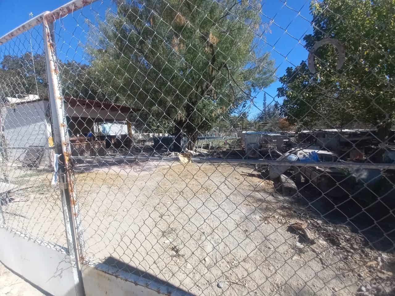 Protección Animal investiga caso de veneno en mascotas