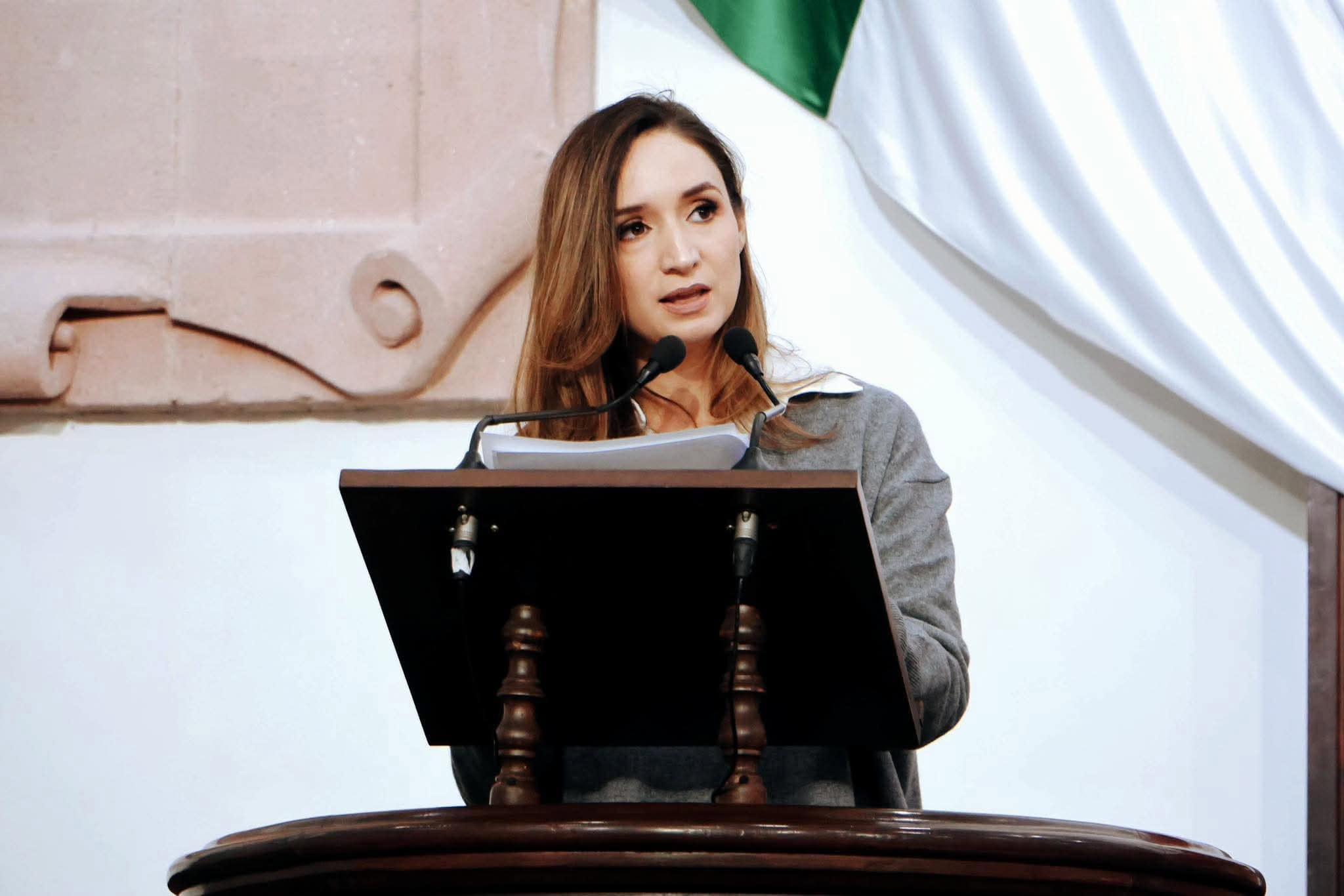 Coahuila afectado por recortes presupuestales: diputada Edna Dávalos