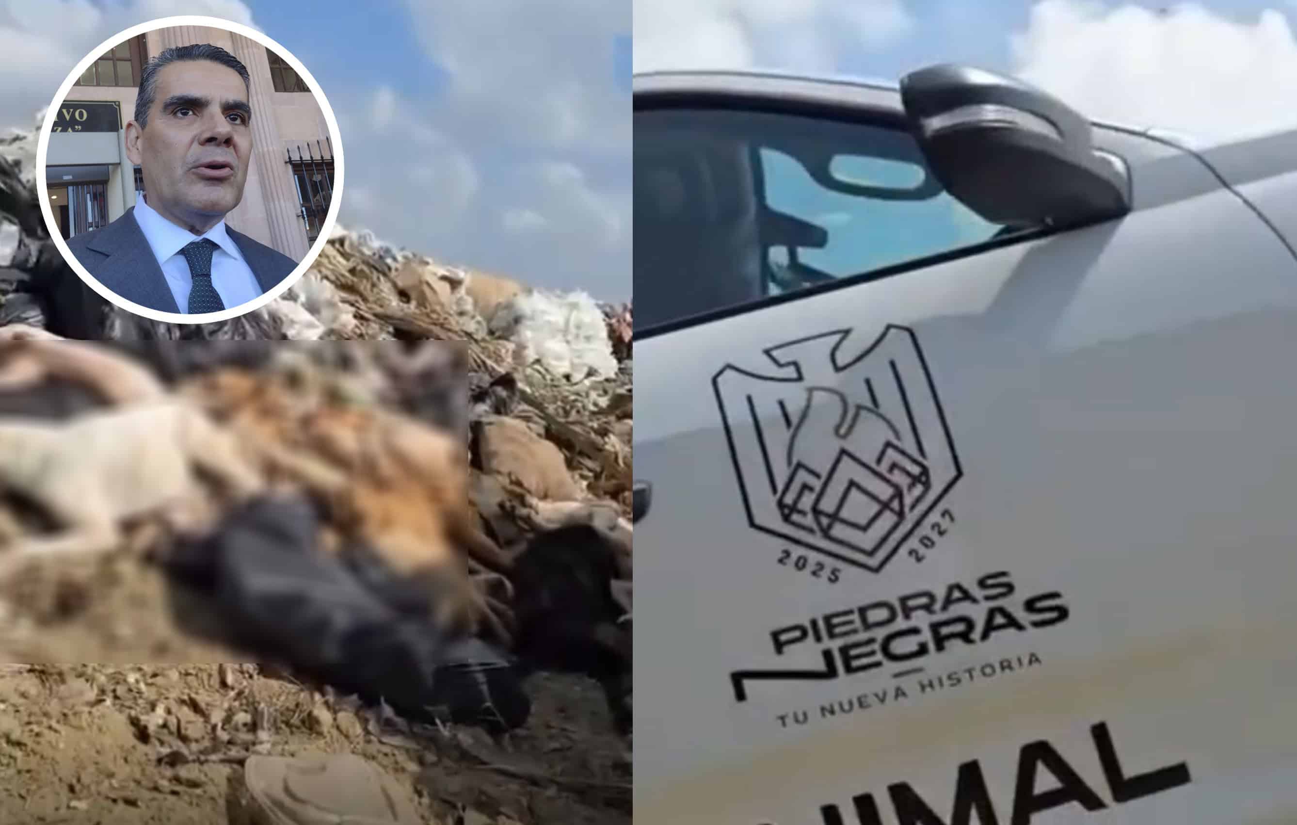 Multan a Piedras Negras con más de un millón de pesos por tirar perros sacrificados en basurero