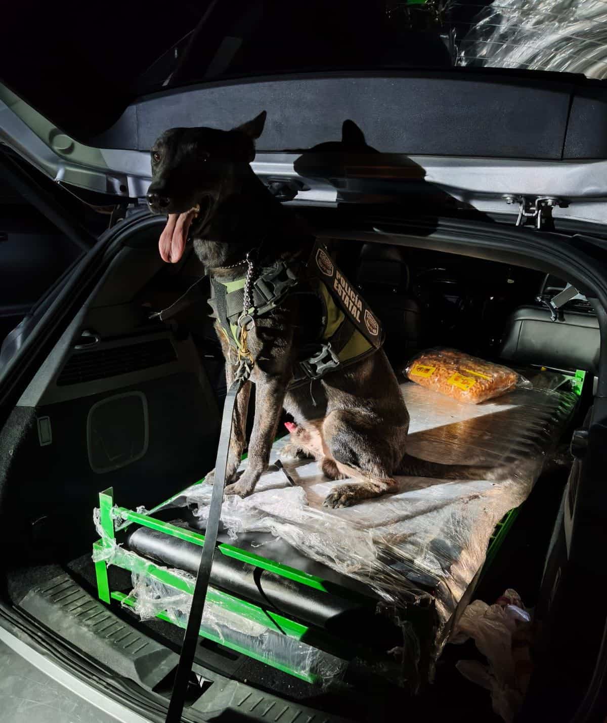 Aseguran más de 23 kilos de cristal y casi un kilo de heroína en operativo en La Laja