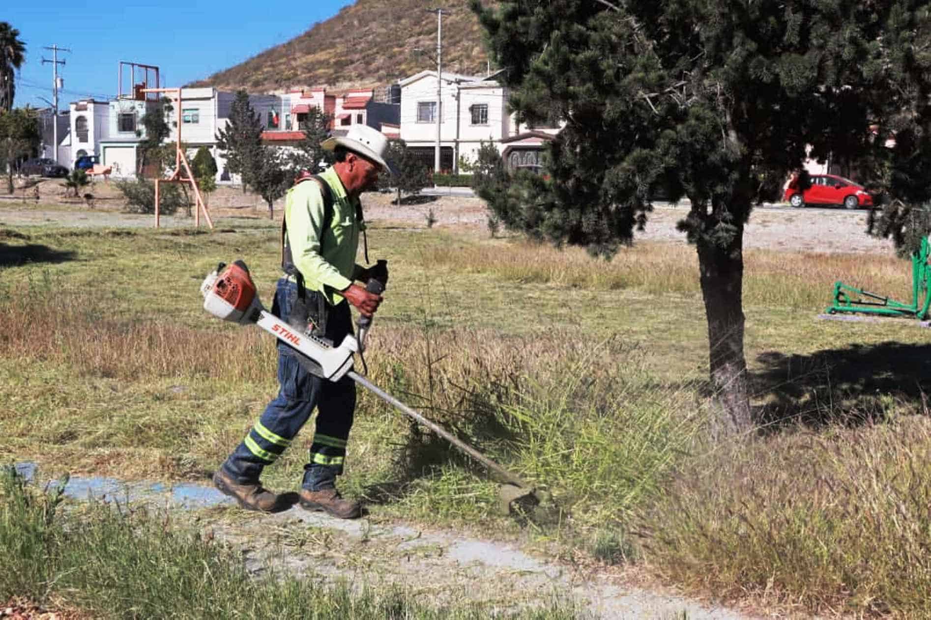 Intensa Jornada de Reforestación en Colonia Los Reales de Saltillo