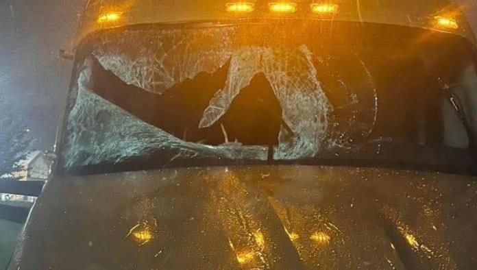 Un venado muere tras impactarse con un tráiler en la Autopista Premier