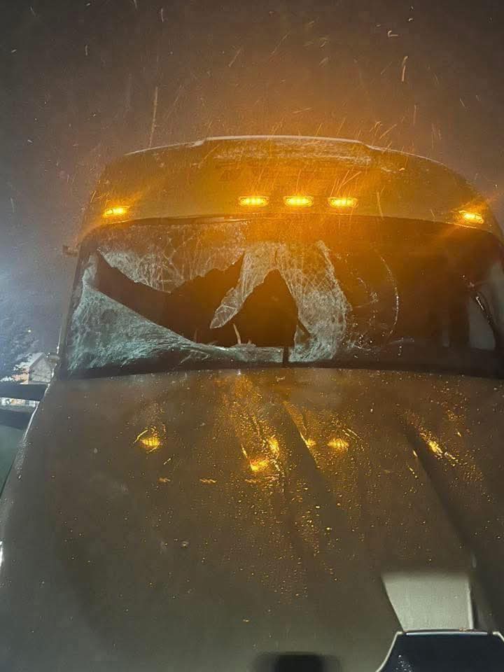 Un venado muere tras impactarse con un tráiler en la Autopista Premier