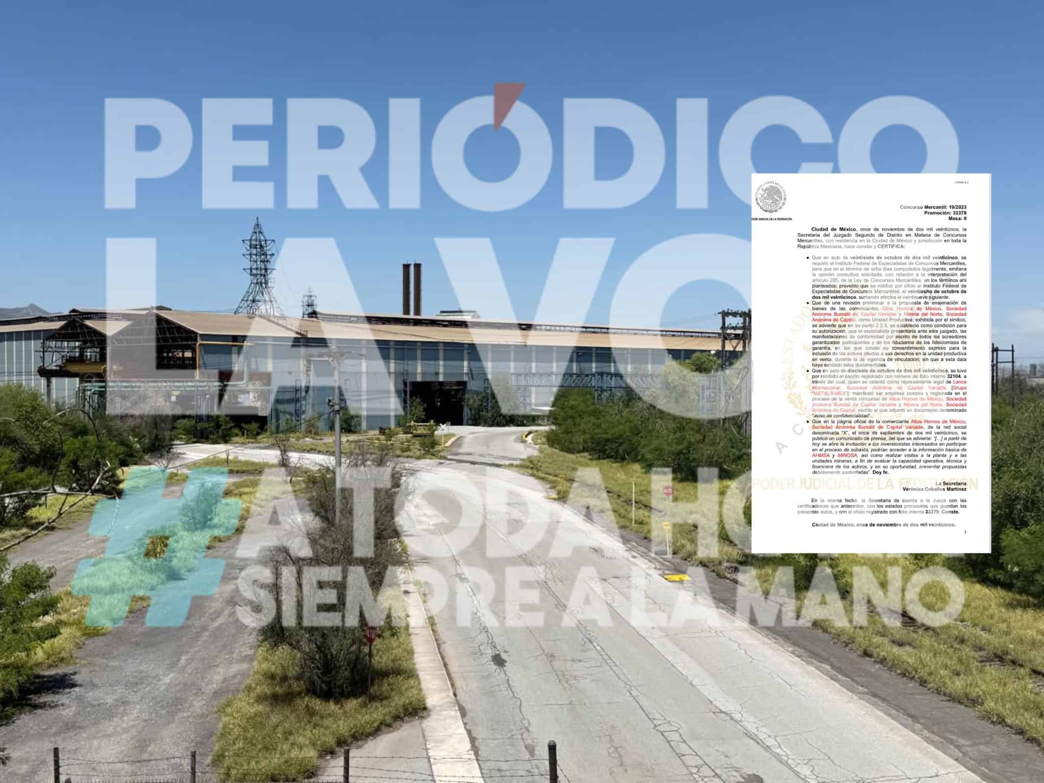 Metals-Mex se registra como postor en la venta de AHMSA y MINOSA