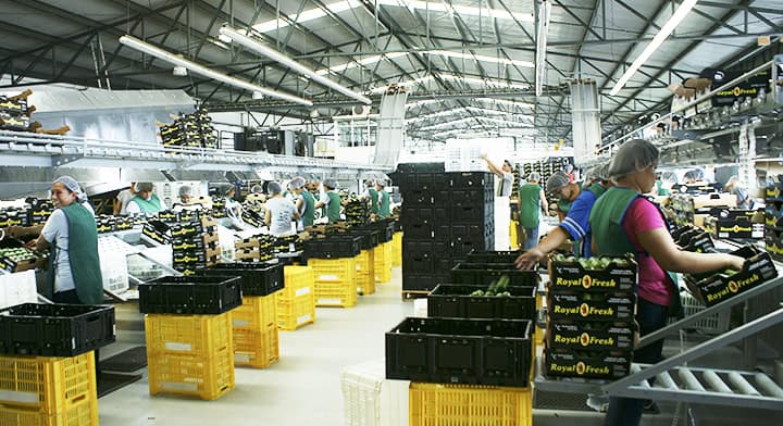 Brooke Rollins lidera histórica misión comercial agroindustrial en México