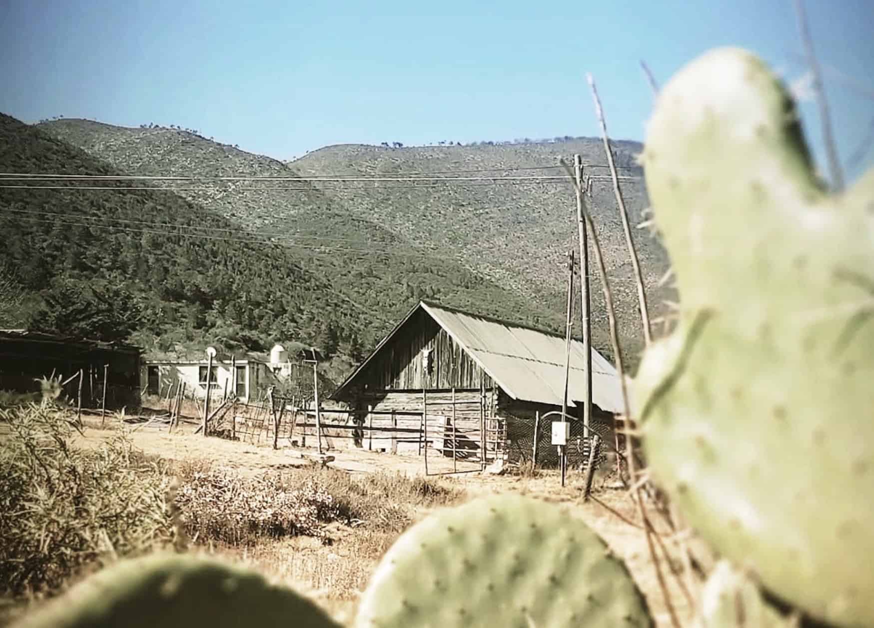 Habitantes de Mesa de las Tablas denuncian falta de agua en Arteaga