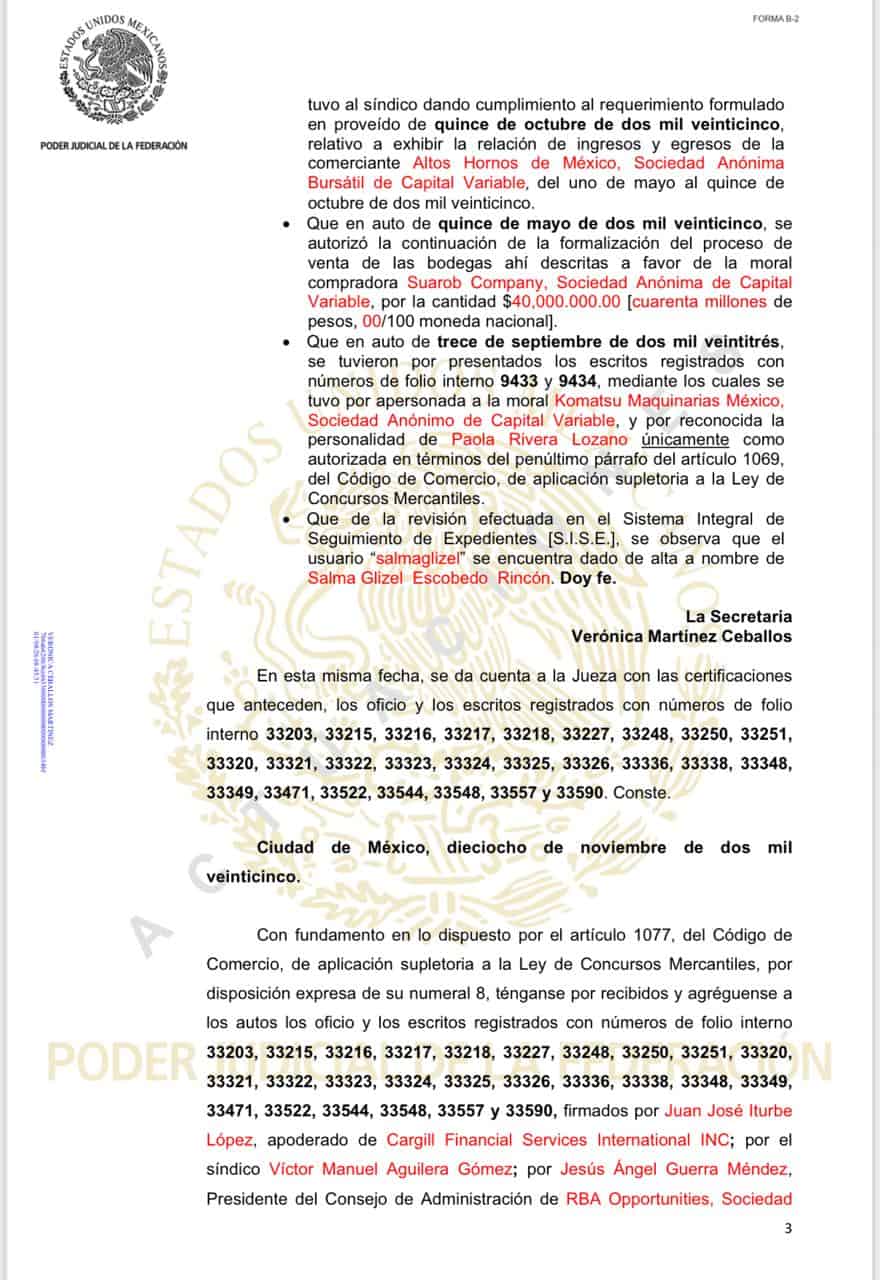 Altos Hornos de México enfrenta discrepancias financieras en su quiebra