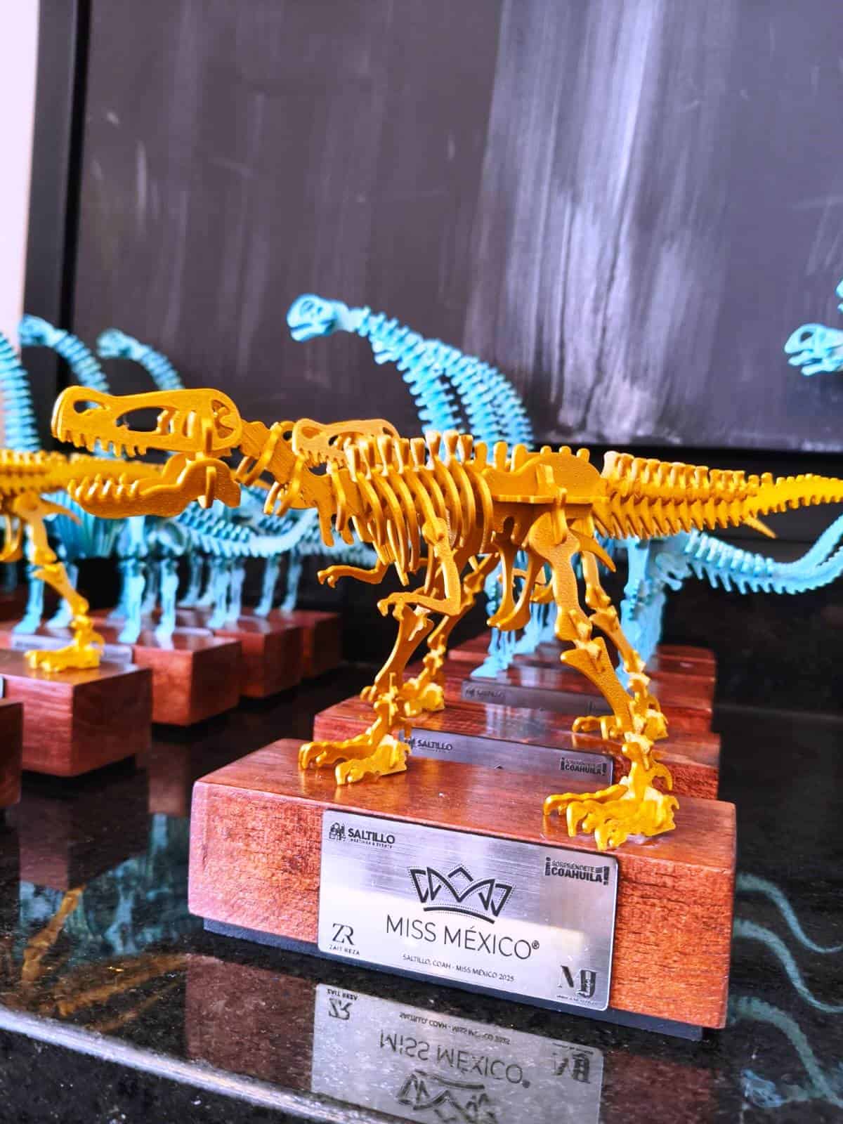 Miss México 2025: Saltillo se convierte en subsede del certamen