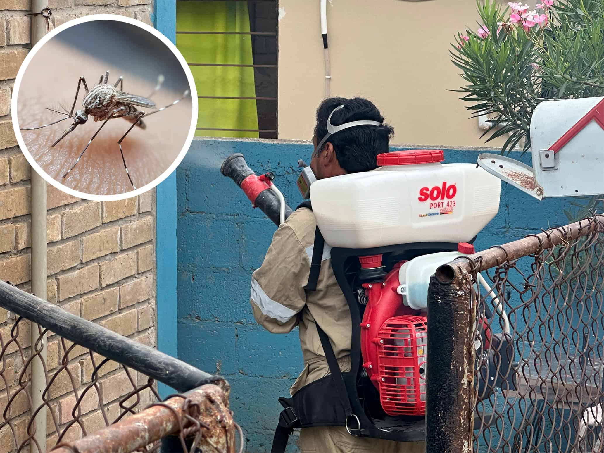 Descartan dos casos de dengue en Piedras Negras; tres más siguen en estudio