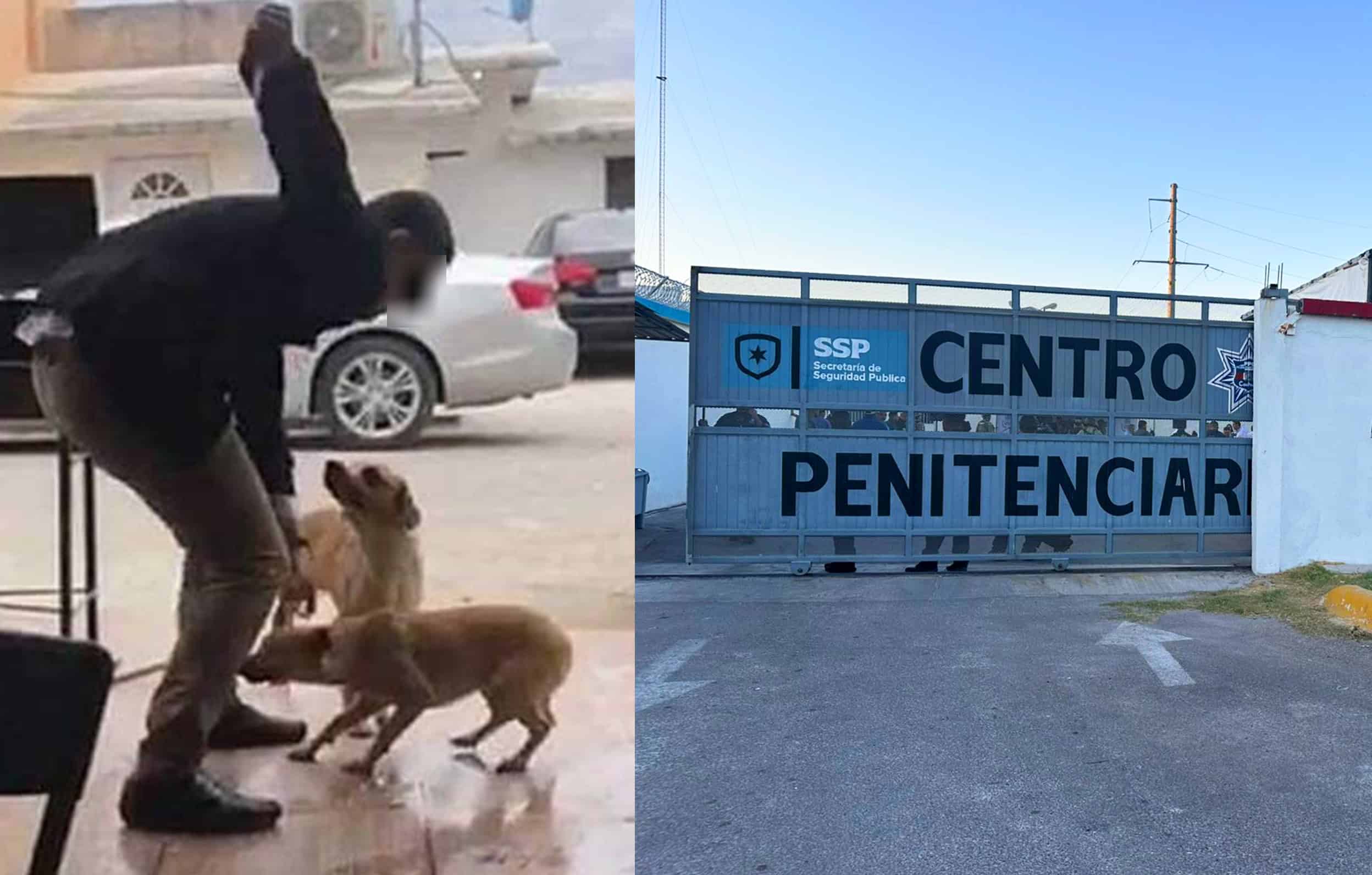 Liberan bajo fianza a "El Mataperros" tras siete años prófugo en Piedras Negras