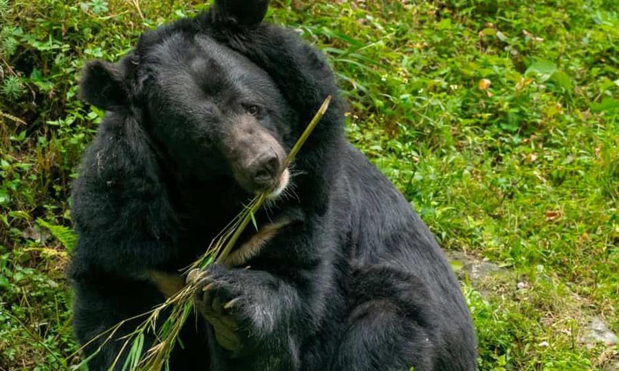Inicia el Corredor Biocultural Frontera Norte en Coahuila con inversión de 6 millones