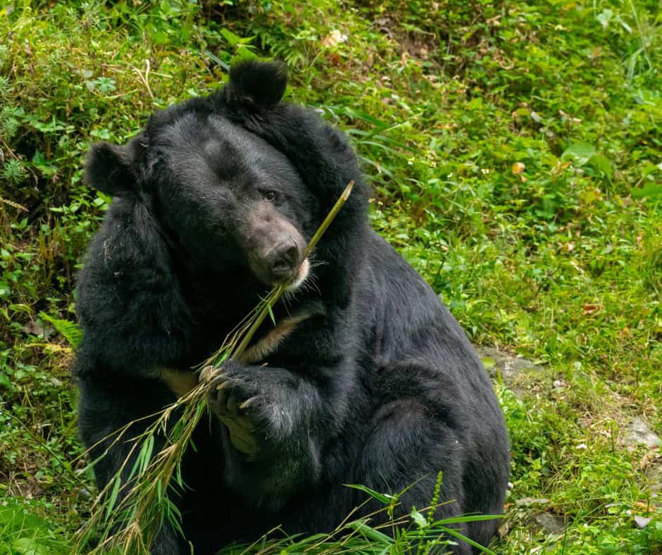 Inicia el Corredor Biocultural Frontera Norte en Coahuila con inversión de 6 millones