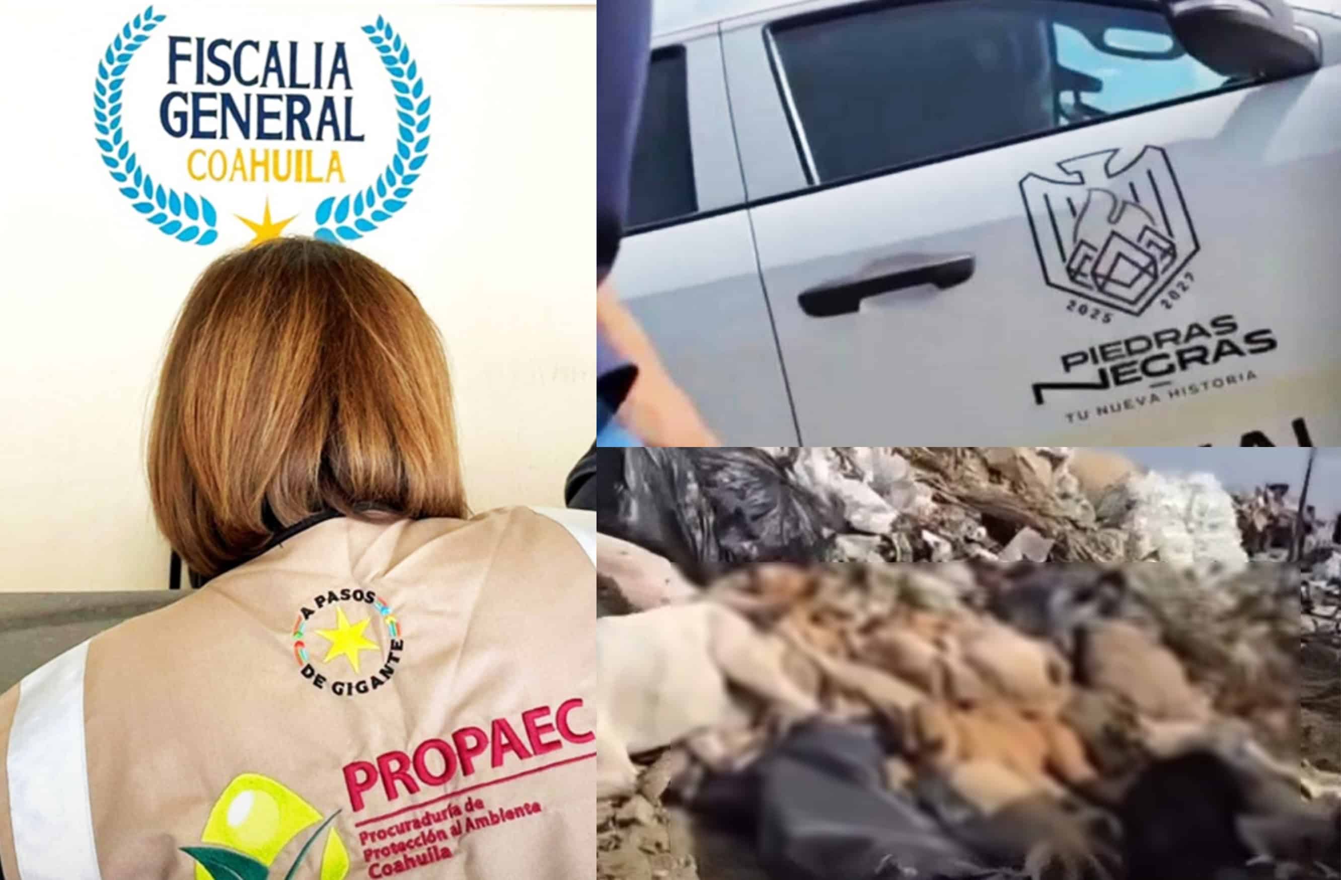 Confirman multa millonaria a Piedras Negras por caso de perros arrojados al basurero