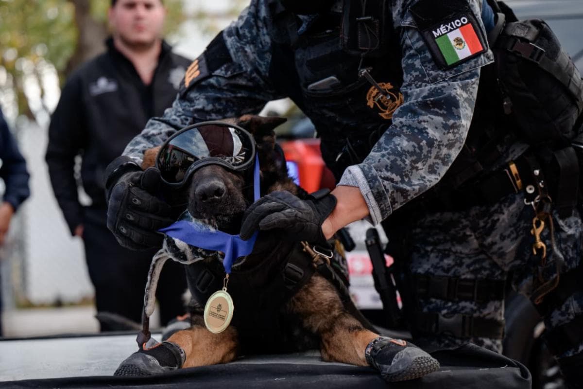 Saltillo: Javier Díaz González reconoce a César y Bebeto, perros de la unidad K9