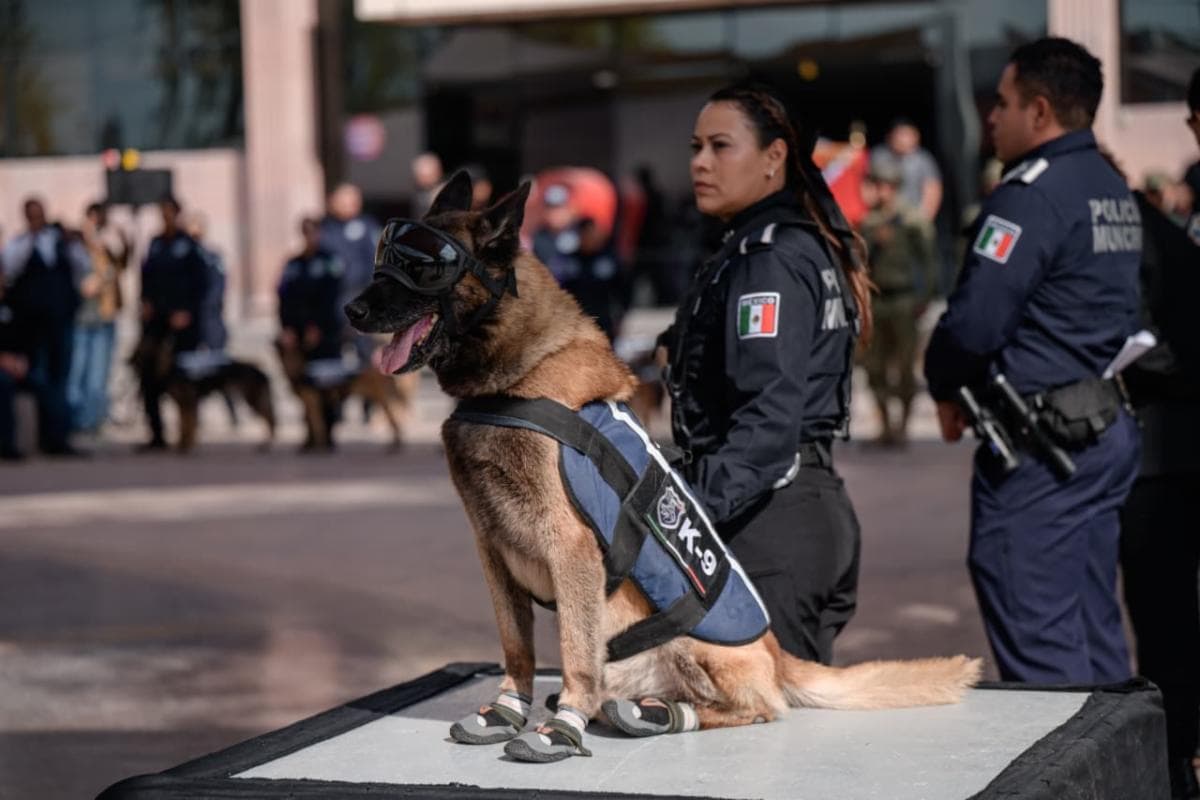 Saltillo: Javier Díaz González reconoce a César y Bebeto, perros de la unidad K9