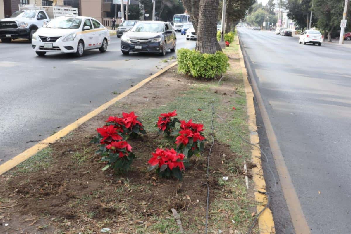 Gobierno de Saltillo intensifica limpieza de pasos peatonales