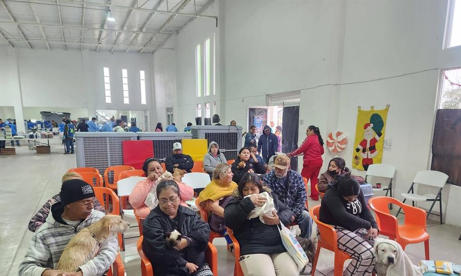 Realizan brigada masiva de esterilización para frenar reproducción de mascotas en Ciudad Acuña