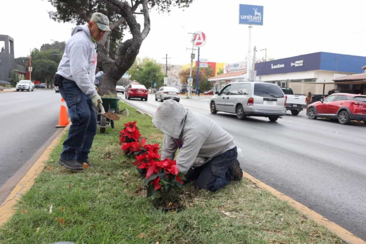 Gobierno Municipal de Saltillo realiza jornada de limpieza en Plaza Manuel Acuña